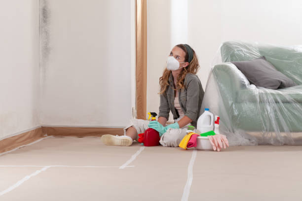 Reliable Basement Mold Removal contractor in Shady Side, MD by WQB Mold Removal